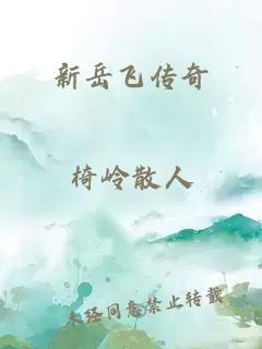 新岳飞传奇